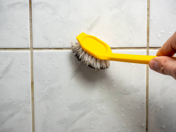 Best Local Mold Removal Service  in Trussville, AL