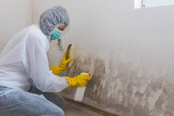 Best Residential Mold Removal  in Trussville, AL