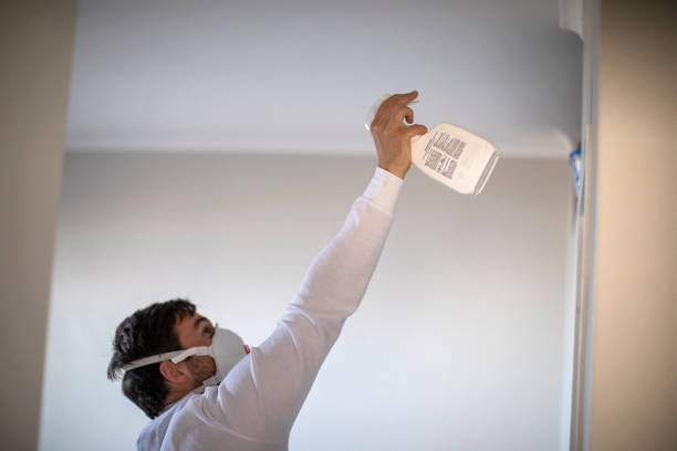 Best Mold Damage Repair  in Trussville, AL