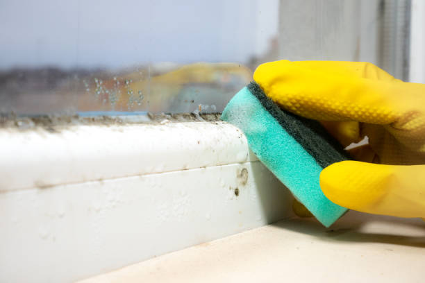 Best Crawl Space Mold Removal  in Trussville, AL