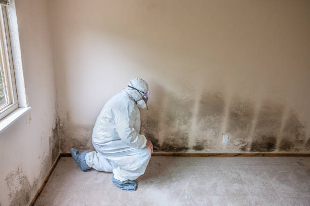 Best Residential Mold Removal  in Trussville, AL